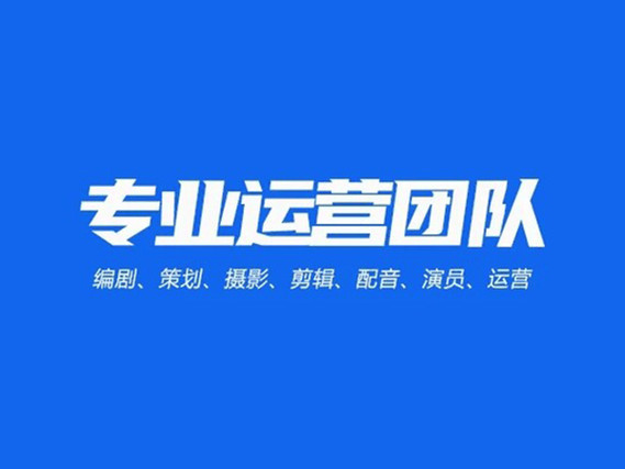 河东区视频彩铃制作工厂短视频代运营 - 一站式服务